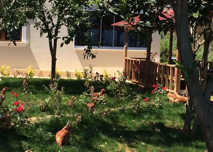 Appartement Menekse 2 Trabzon