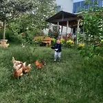 Menekse 2 Trabzon