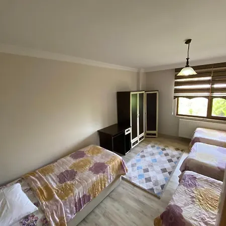 Menekse 2 Apartment *