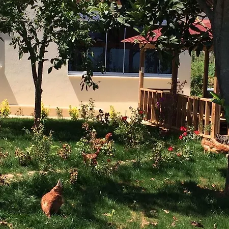 Apartment Menekse 2 Trabzon