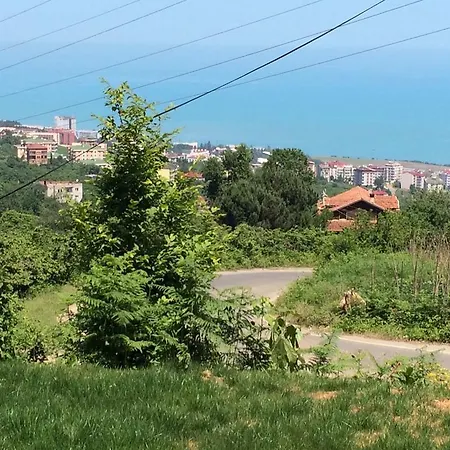 Menekse 2 Trabzon